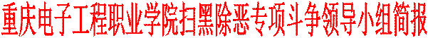 js金沙3983总站扫黑除恶专项斗争领导小组简报